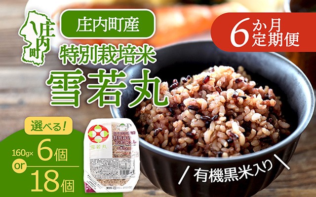 
                  【定期便】【チョイス限定】雪若丸 玄米 パックごはん 160g×6~18個×6ヶ月 毎月お届け 有機黒米入り 山形県庄内町産 保存食 非常食 備蓄 防災 レンジで2分 レンチン 時短 簡単調理 ローリングストック【毎月中旬発送】
                