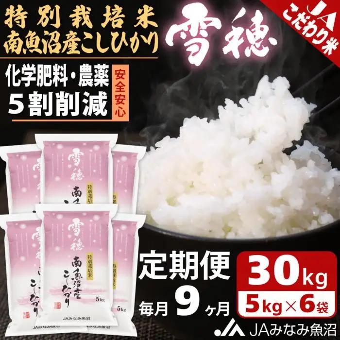 【JAみなみ魚沼定期便】特別栽培米南魚沼産こしひかり「雪穂」（30kg×全9回）精米｜こしひかり