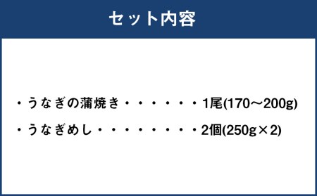 うなぎ尽くし 蒲焼きとうなぎめしセット