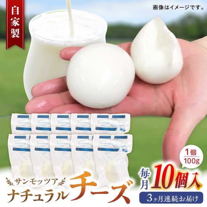 【ふるさと納税】【全3回定期便】自家製 ナチュラルチーズ サンモッツア 10個 ( 100g × 10個 ) / チーズ モッツァレラチーズ 乳製品 熊本 山都町【山の未来舎】[YBV017]