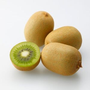 さぬきキウイっこ  キウイフルーツ 1.8kg【予約受付中！令和8年11月中旬頃より発送！】【A-114】