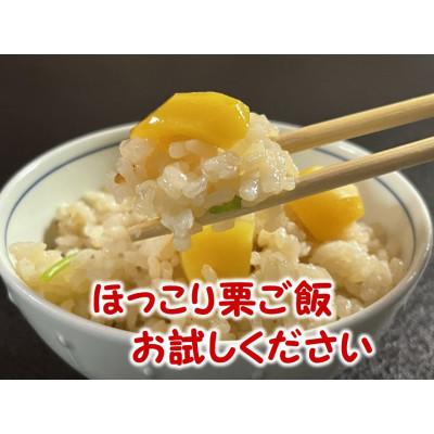 ふるさと納税 山鹿市 熊本県山鹿和栗【冷凍むき栗】(1kg) |  | 02