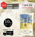 【ふるさと納税】 《先行予約》 ＜定期便 3回＞ 米 10kg 《 新潟県産 コシヒカリ みかわ稲穂の舞 》 令和6年産 5kg × 2袋 阿賀 三川 | 毎月 こしひかり 白米 精米 送料無料 お取り寄せ お米 金賞受賞 ※2024年10月中旬頃より順次発送