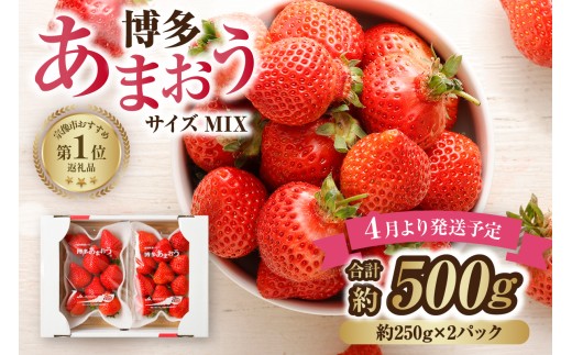 【先行予約】【アフター保証】4月発送！JAよりお届け！「博多あまおう」約250g×2パック【ほたるの里】_HA1938 ふるさと 納税 果物 フルーツ 甘い イチゴ 苺 あまおう デザート 旬 手土産 プレゼント いちご 博多あまおう 福岡
