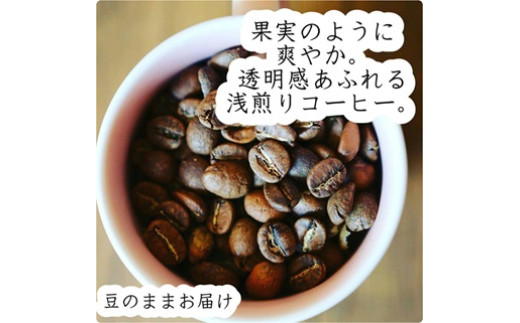 
                  《cafeみちくさロースターセレクト》スペシャリティコーヒー　浅煎り【豆】150gｘ1袋
                