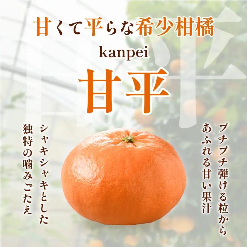 【先行予約】甘平（家庭用）レギュラー箱 約5kg 