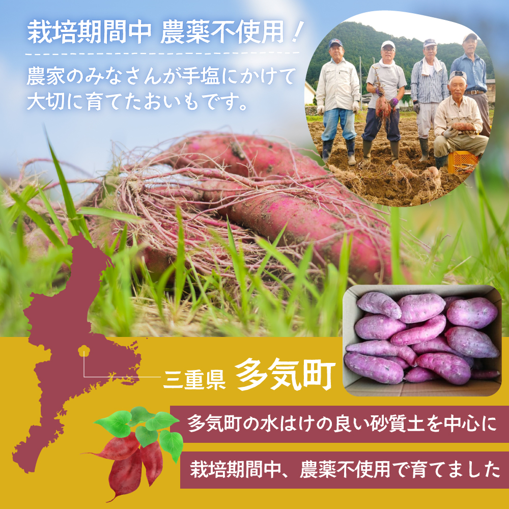 ≪訳あり≫ 栽培期間中農薬不使用 サツマイモ 5kg 紅はるか 無農薬 さつまいも サツマイモ ワケアリ ワケアリ わけありさつまいも詰め合わせ 芋 いも 三重県 多気町 GE‐01　