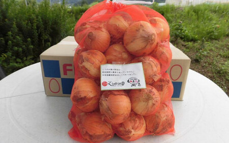 栽培期間中農薬・化学肥料不使用 くりのみ園の玉ねぎ  約4kg ［くりのみ園］ 2026年7月～8月末まで発送［H-88］