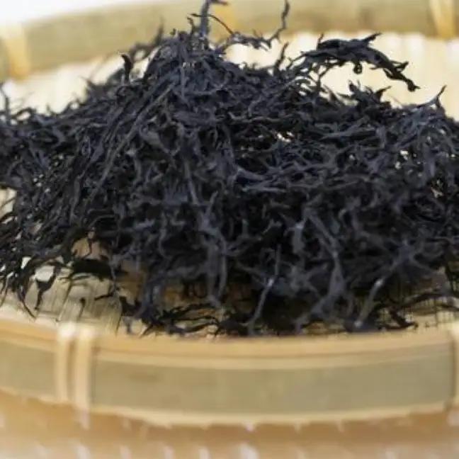わかめ 磯の香りセット ワカメ ひじき 計6袋 乾燥 広島県 呉市