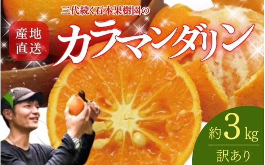 【先行予約】【訳あり】石本果樹園の美味しいカラ・マンダリン 約3kg 約20～25玉前後【2027年4月中旬から5月中旬に順次発送予定】 / みかん フルーツ くだもの 果物 先行予約 カラマンダリン【min021】