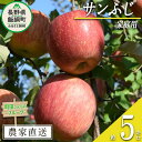 りんご サンふじ 家庭用 5kg 町田さんちのりんご 長野県 飯綱町