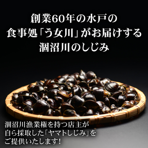 活しじみ 特選 大玉 1kg（500ｇ×2） 涸沼川 う女川（IX-105）