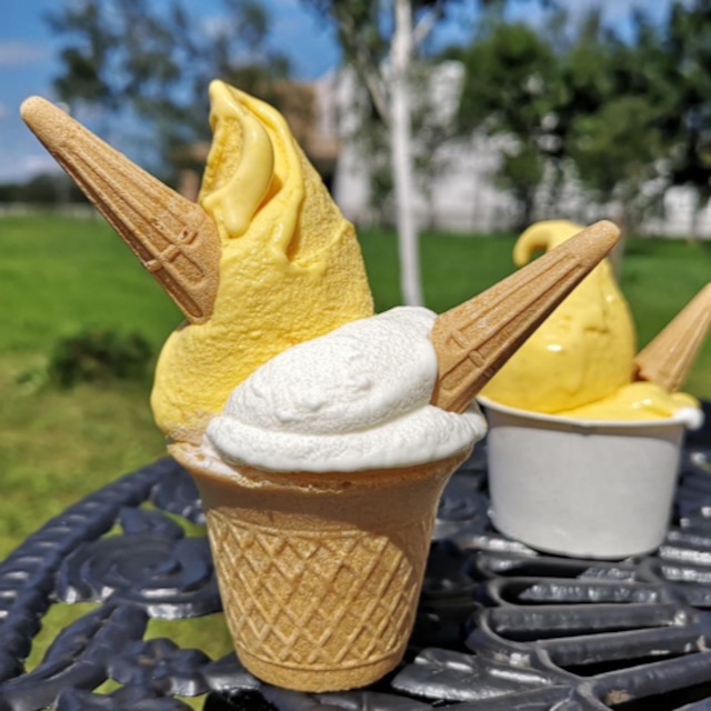 十勝産生乳の旨み！ジェラートアイスクリーム　７種１４個セット[027-0247]