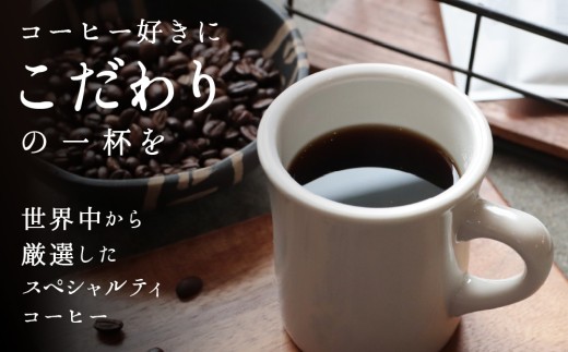 20-94-be 自家焙煎コーヒー豆 選べる2種×500g 合計１kg コーヒー豆 粉 飲み比べ ※（豆）オリジナル＋エチオピア