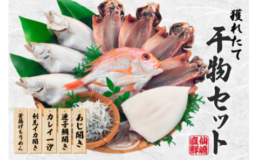 海匠國近 魚急便 K-5 干物 アジ 蓮子鯛 カレイ 剣先イカ 釜揚げ 山口県  干物 一夜干し 国産 手作り 5種類  お中元 お歳暮 ギフト 贈り物