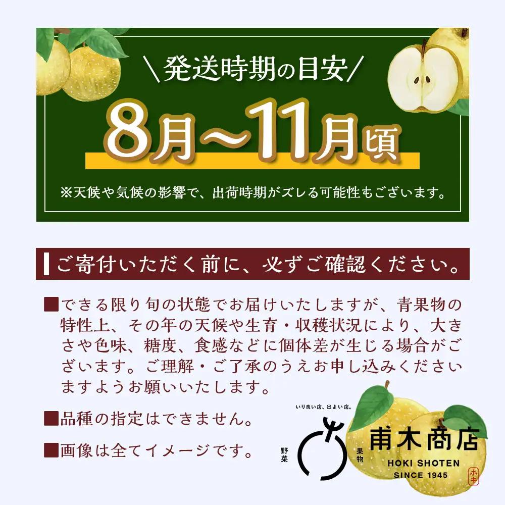 佐賀県産 梨 約5kg 旬の梨
