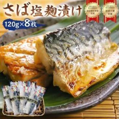 ふるさと納税 南房総市 さば　塩麹漬け　約120g×8枚　個包装　mi0012-0100