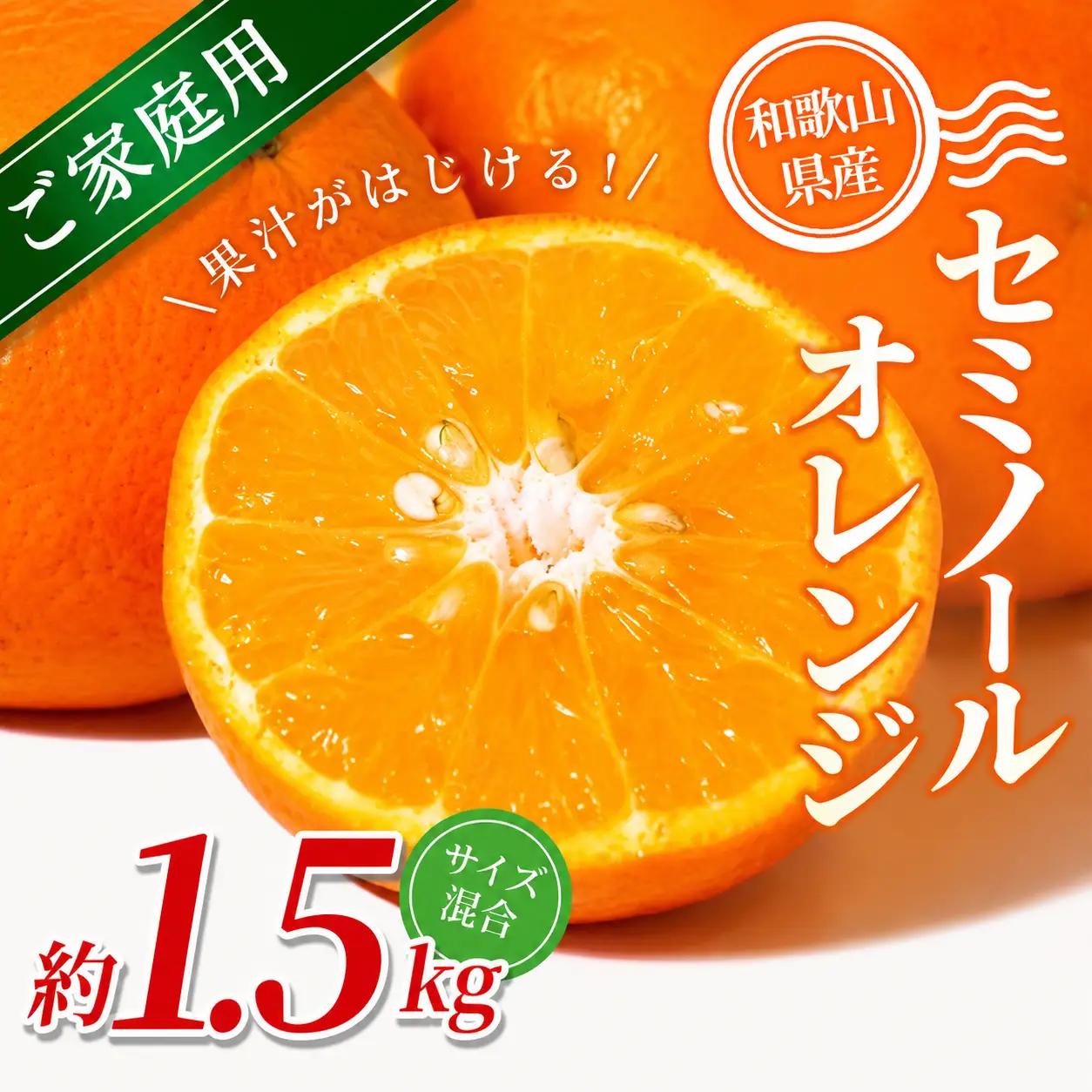 【家庭用】  セミノールオレンジ 約1.5kg 【北海道・沖縄・離島配送不可】【BV90026-mrmt026】