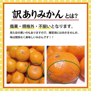 【訳あり】有田みかん 10kg | 農家直送 訳あり ご家庭用 サイズ混合 光センサー選別 温州みかん みかん 訳あり わけあり 家庭用 ※2024年10月中旬～2025年1月上旬頃に順次発送予定 ※