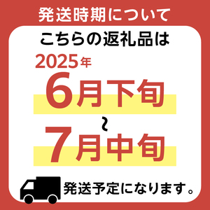 【先行受付 2025年6月下旬～7月中旬発送予定】『トウモロコシスイートコーン（ゴールドラッシュ） 10本』発送当日に収穫したものを南房総の農家から直送します！ mi0039-0020 とうもろこし 