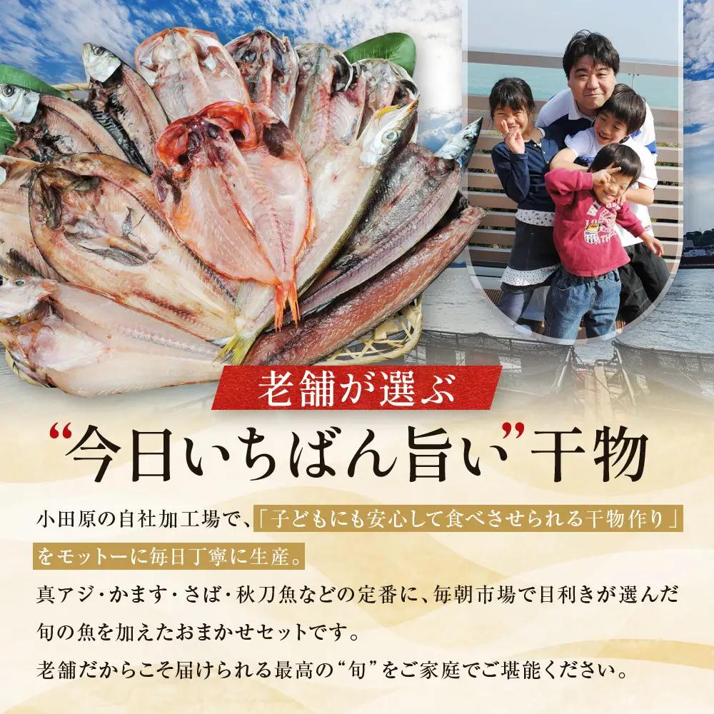 【国産】おまかせ干物セット 竹コース【お取り寄せ 海鮮 グルメ ギフト プレゼント 産地直送 産直 魚 手作り ひもの 詰め合わせ お中元 お歳暮 父の日 母の日 誕生日 自宅用 贈答品 贈答用 朝食