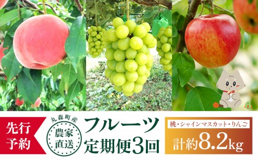 【先行予約】《採れたてを農家直送》 宮城県丸森町産 フルーツ定期便  コース1 （桃・シャインマスカット・りんご） | 桃 5～8玉 2kg 1箱 シャインマスカット ぶどう ブドウ 600g以上 2房 ふじりんご ふじ リンゴ  14～18個 5kg 葉とらずりんご フルーツ 果物 農家直送 甘い 旬 採れたて 期間限定 産地直送 宝ノ木果樹園 お取り寄せ 宮城県 丸森町 丸森【48007】