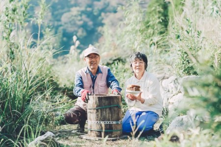 天然 はちみつ 「千花蜜」 保存料不使用 550g×2個 / 日添 /熊本県 五木村