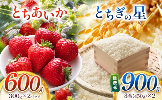 【限定100個】真岡市産 とちあいか・とちぎの星 贅沢セット | 苺 strawberry ストロベリー おいしい 甘い ジューシー 贈答用 プレゼント ご褒美 スイーツ おやつ 高評価 人気 レビュー 栃木県 真岡市 日本一 送料無料