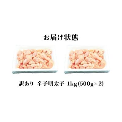 ふるさと納税 石巻市 訳あり 無着色 明太子 1kg (500g×2) 海鮮 魚介類 規格外 不揃い 家庭用 一口カット |  | 03