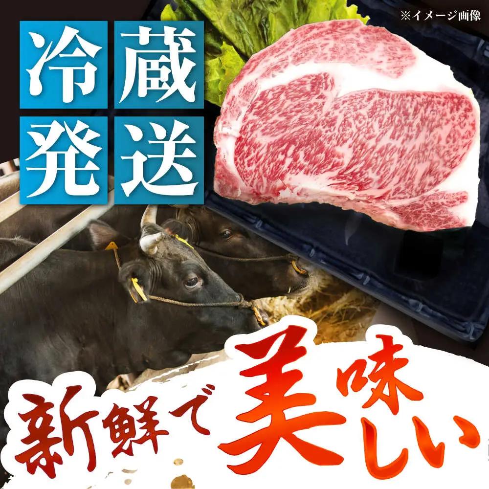 飛騨牛 A5 リブロース 300g×3枚 / 恵那市 / 東美濃農業協同組合 [AUFX022]