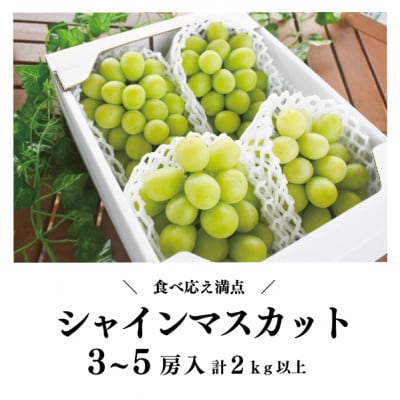 シャインマスカット 3-5房/計2kg～ (岡山県産) 果樹園こだわりの「きよとう」シャイン!【配送不可地域：離島・北海道・沖縄県】