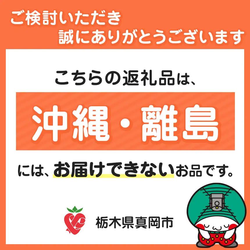 半生チーズ 10個入 | チーズ タルト