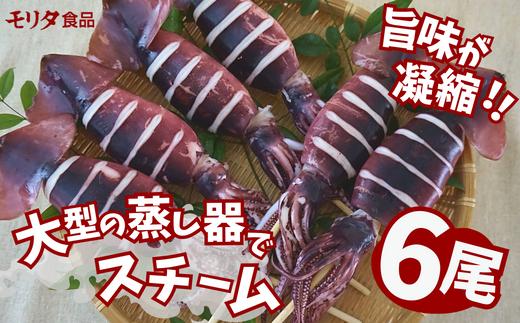 串イカ 6尾入り（約100g～130g×6尾）冷凍 新鮮 旨味凝縮イカ焼き 食べ応え抜群 いか 串 スチーム 蒸しイカ バーベキュー 焼肉 鉄板焼き BBQ キャンプ 国産 兵庫県 香美町 香住 香住