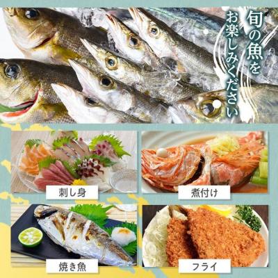 ふるさと納税 肝付町 地魚詰め合わせセット(約4人分) 【マルケイ水産】　A09002 |  | 02