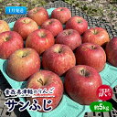 【ふるさと納税】【1月発送】【訳あり】青森県津軽のりんご「サンふじ」約5kg【里いちみfarm】　板柳町　お届け：2025年1月8日～2025年1月30日