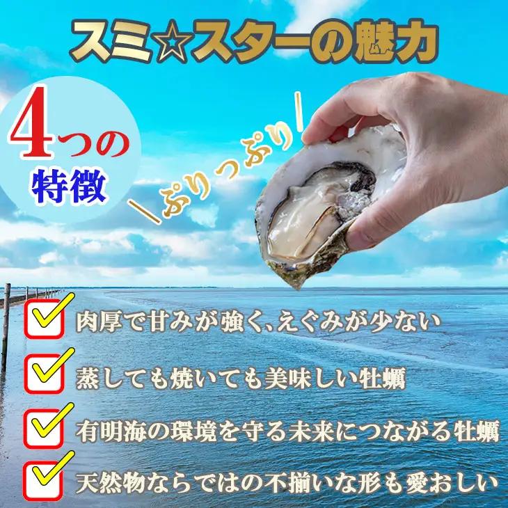 【天然】有明海産住之江牡蠣　冷凍スミ☆スター 3kg 牡蠣 冷凍 殻付き B160-013