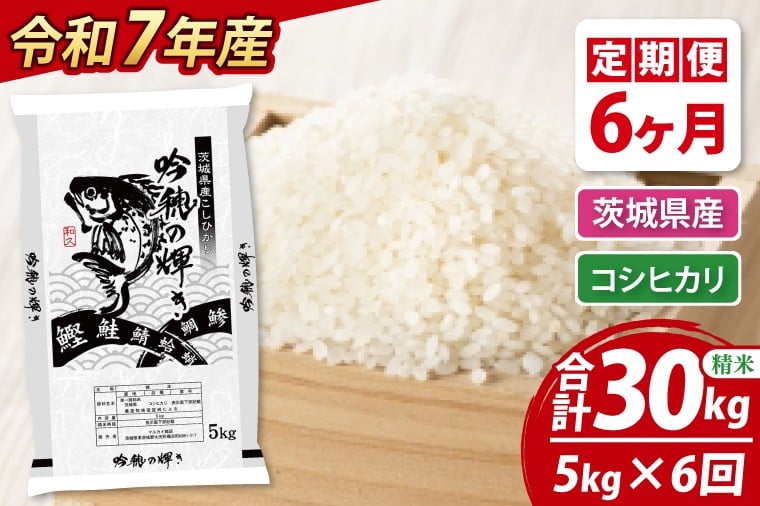 
            【期間限定・特別寄附額】 【6ヵ月定期便】 ＜令和７年産＞ 新米 コシヒカリ 5kg × 6ヵ月 精米 こしひかり 米 ごはん コメ お米 白米 国産 茨城県産
          