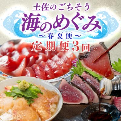 ふるさと納税 大月町 【定期便 3回】 土佐のごちそう 海のめぐみ 海鮮 秋冬便 藁焼き 鰹たたき 一夜干し 干物 漬け丼