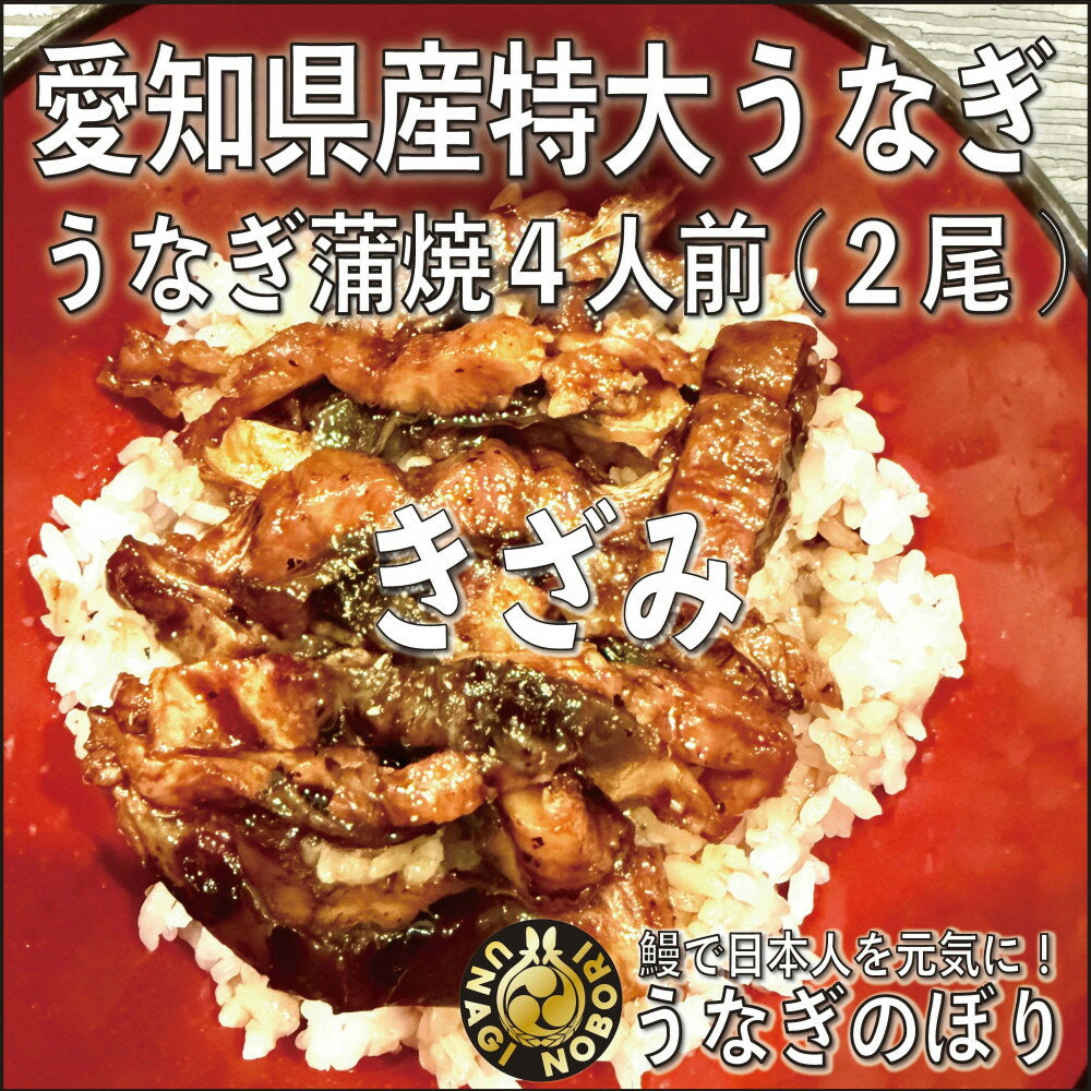 【ふるさと納税】【愛知県産】特大うなぎの蒲焼き(きざみ)