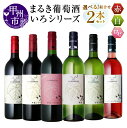 【ふるさと納税】 ワイン 赤ワイン 白ワイン ロゼ まるき葡萄酒 いろシリーズ 2本 セット 750ml 選べる お届け内容 飲み比べ 赤 白 マスカット・ベリーA ヤマソービニオン 甲斐ノワール他 甲州 山梨県 甲州市 勝沼 いろシリーズ 母の日 父の日 記念日 ギフト (MG)