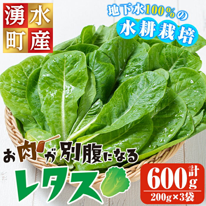 【ふるさと納税】お肉が別腹になるレタス 計600g (200g×3袋) 国産 九州産 鹿児島県産 湧水町産 野菜 やさい レタス ロメインレタス 焼肉 焼き肉 バーベキュー BBQ 冷しゃぶ サラダ 水耕栽培【霧島製萌】