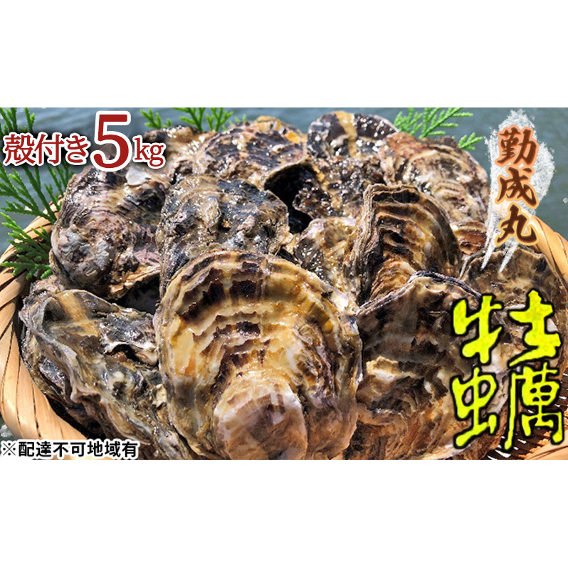 【2026年1月より順次出荷予定勤成丸の牡蠣 殻付き牡蠣 5.0kg [ 生牡蠣 かき カキ 殻付 加熱調理用 真牡蠣 国産 ] 兵庫県 姫路市
