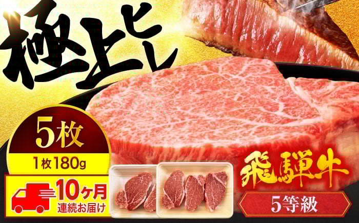 
            飛騨牛 ヒレ 【10回定期便】ステーキ A5ランク 180g×5枚【有限会社マルゴー】ヒレ肉 和牛 霜降り [MBE014]
          