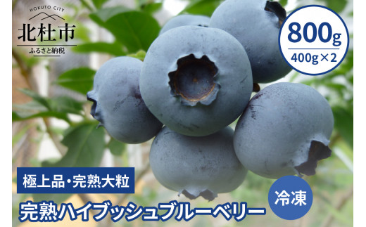 【2026年先行予約】完熟ハイブッシュブルーベリー(冷凍)800g(400g×2)　ブルーベリー 冷凍 期間限定 大粒 甘い 人気 極上品 八ヶ岳南麓