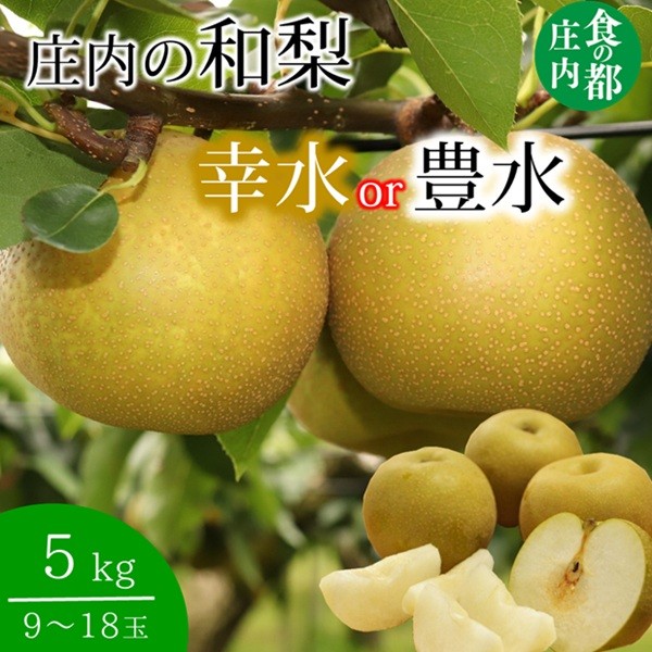 
                  食の都庄内　庄内の和梨【幸水or豊水】約5kg　※8月下旬より順次配送
                