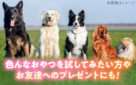 わんこのおやつ（犬）無添加手づくり 4種詰め合わせセット 糸島市 / mogmog factory[AXO005]