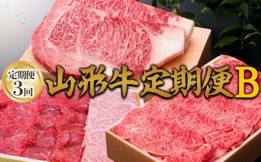 【定期便3回】山形牛定期便B[冷蔵便] FY25-074