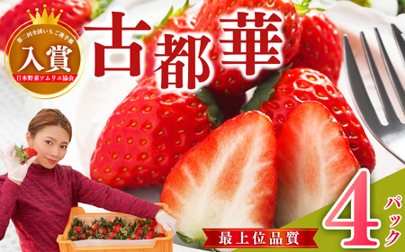 大和なでし苺 古都華 約 270g ×4パック （ 2箱 ） | いちご イチゴ 橋本農園 