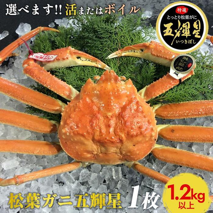 【ふるさと納税】576.【選べます！活またはボイル】鳥取ブランド　松葉ガニ『五輝星』※2025年11月上旬～2026年3月下旬頃に順次発送予定※着日指定不可