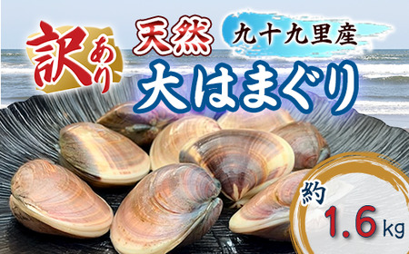 はまぐり 訳あり 大はまぐり 1.6kg はまぐり